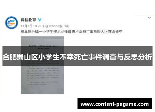 合肥蜀山区小学生不幸死亡事件调查与反思分析