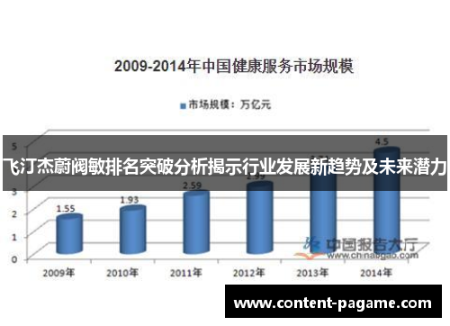 飞汀杰蔚阀敏排名突破分析揭示行业发展新趋势及未来潜力 飞汀杰蔚阀敏排名突破分析揭示行业发展新趋势及未来潜力