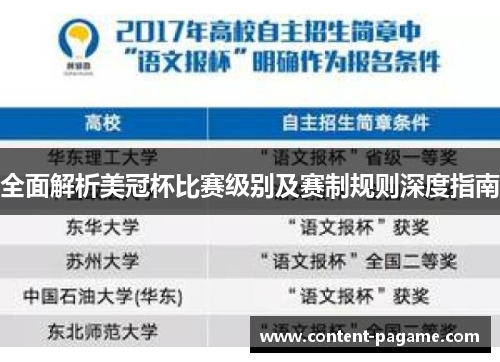 全面解析美冠杯比赛级别及赛制规则深度指南 全面解析美冠杯比赛级别及赛制规则深度指南