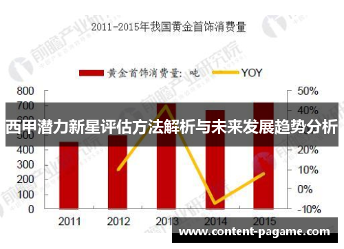 西甲潜力新星评估方法解析与未来发展趋势分析
